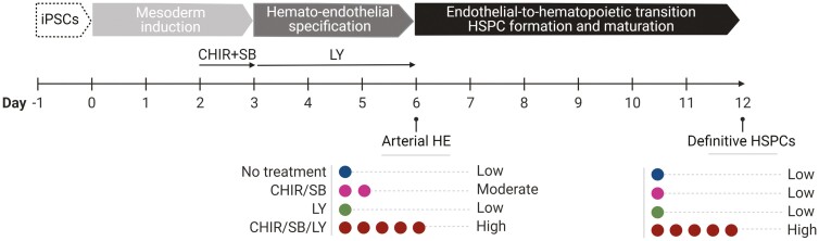 Graphical Abstract