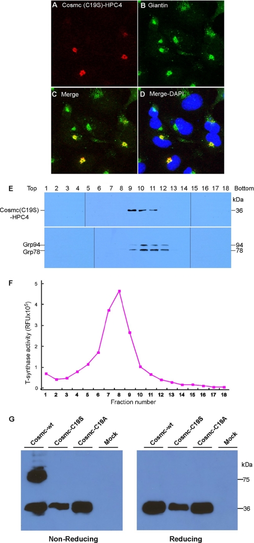 FIGURE 10.