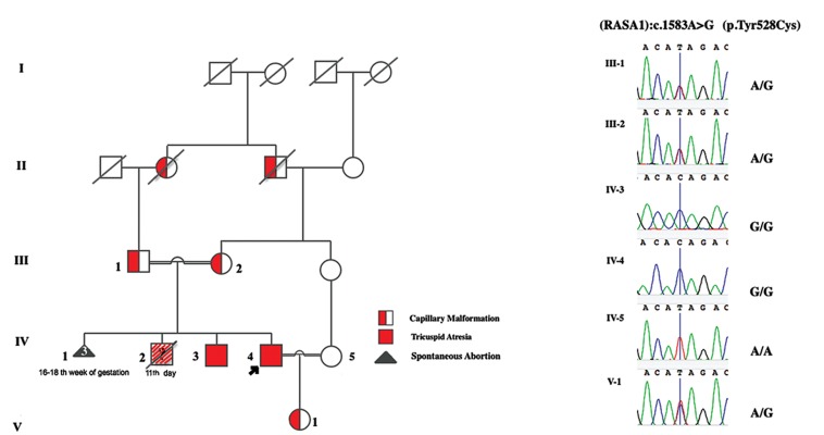 Fig.3