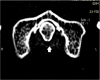Figure 5: