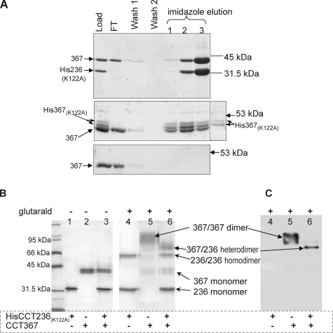 FIGURE 3.