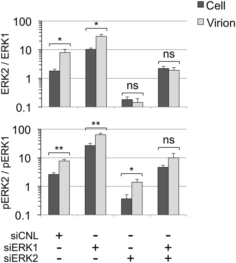 Fig 10