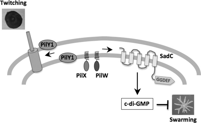 Fig 8