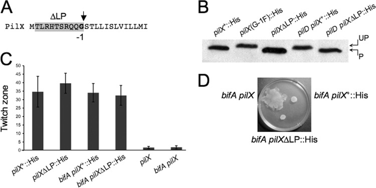 Fig 5