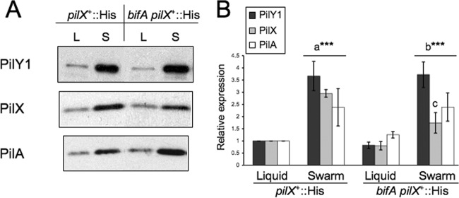 Fig 7