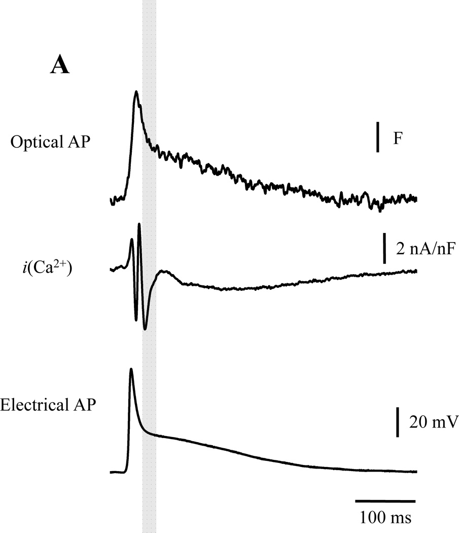 Figure 8