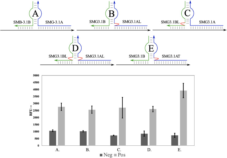 Fig. 3