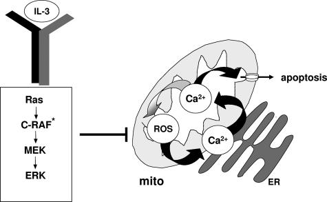 FIG. 8.