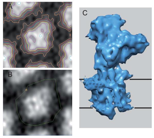 Fig. 9