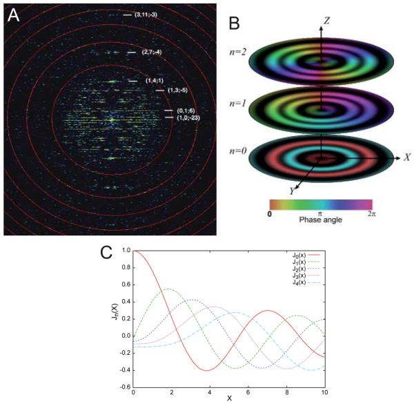 Fig. 3