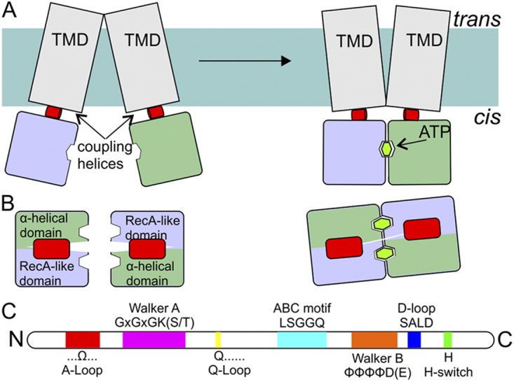 Figure 3.