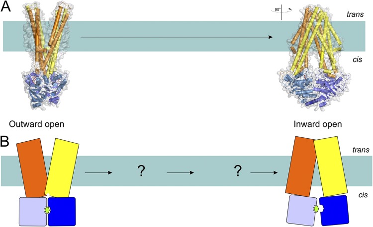 Figure 10.