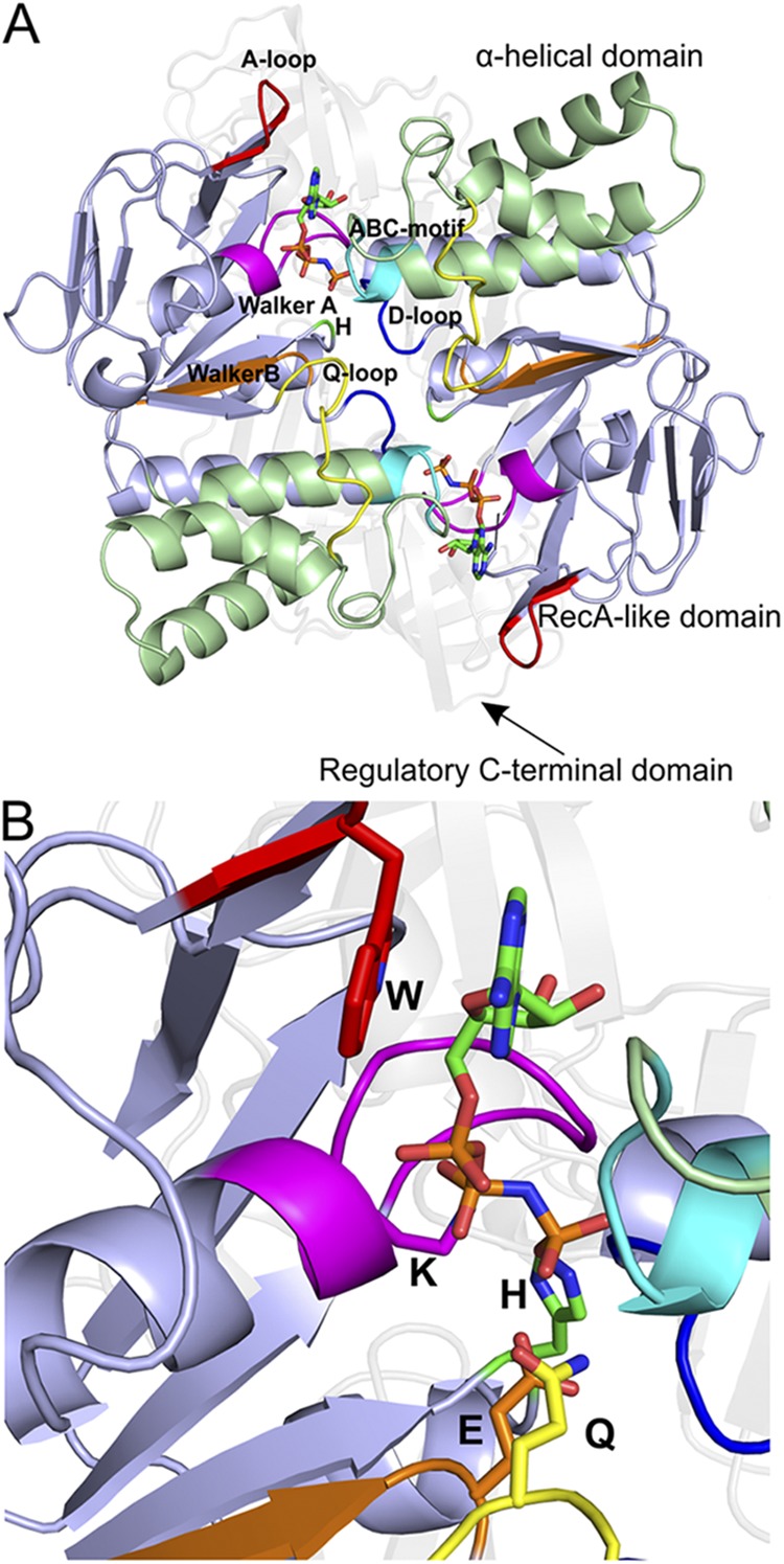 Figure 2.