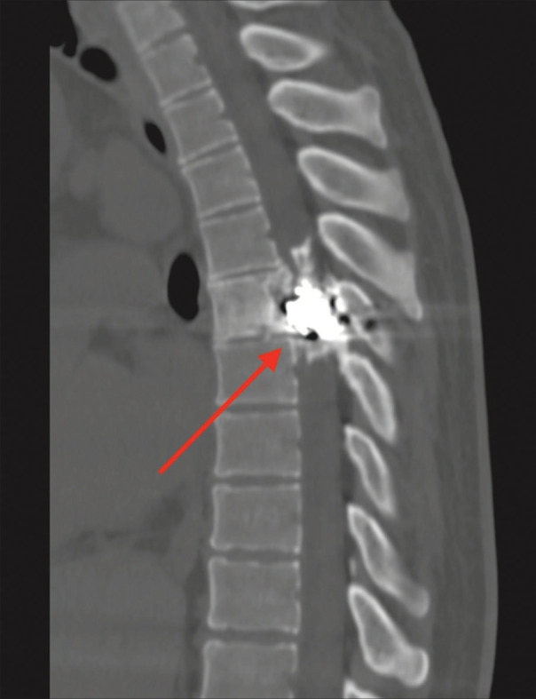 Figure 1: