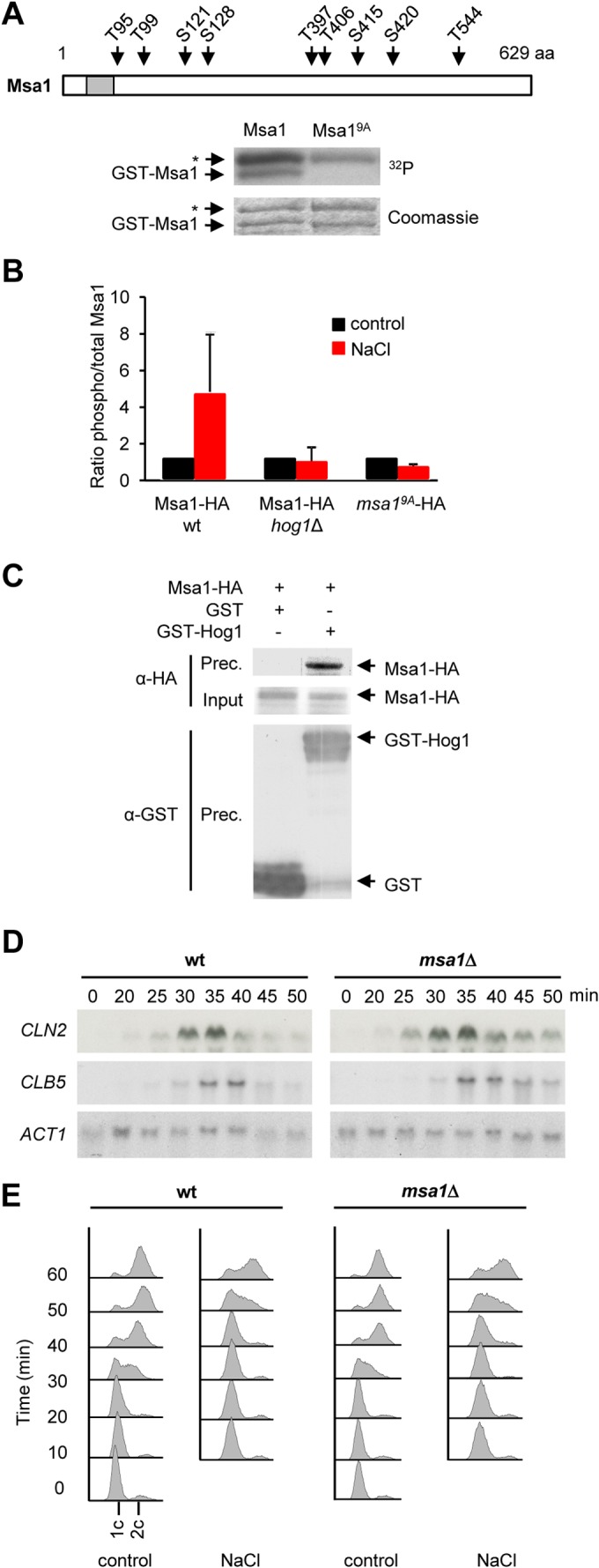 FIG 4