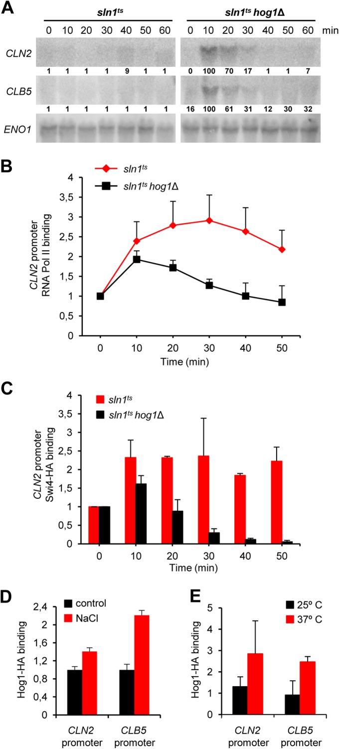 FIG 2