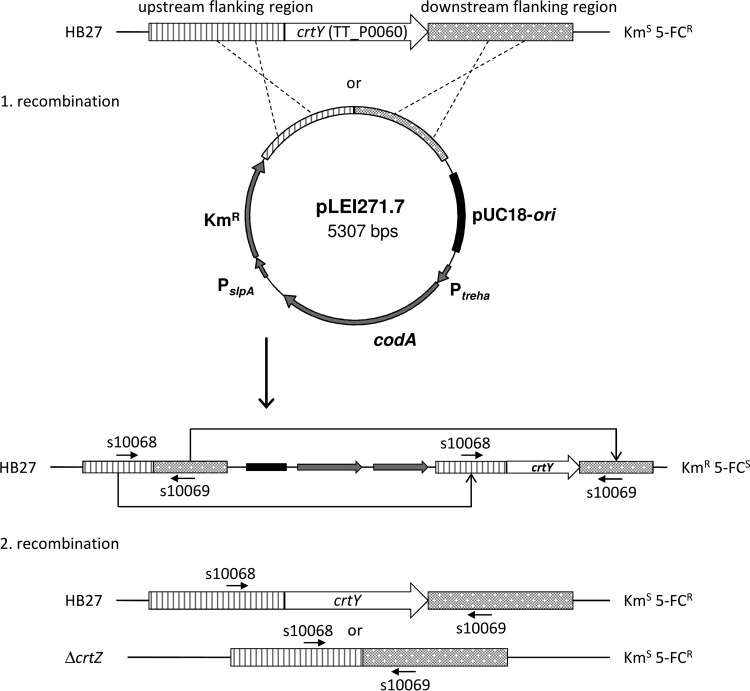 FIG 2