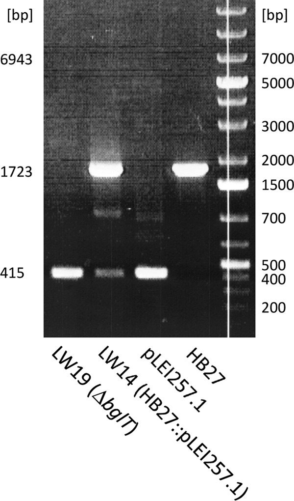 FIG 3