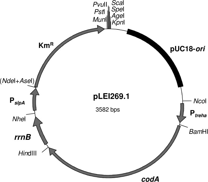 FIG 1