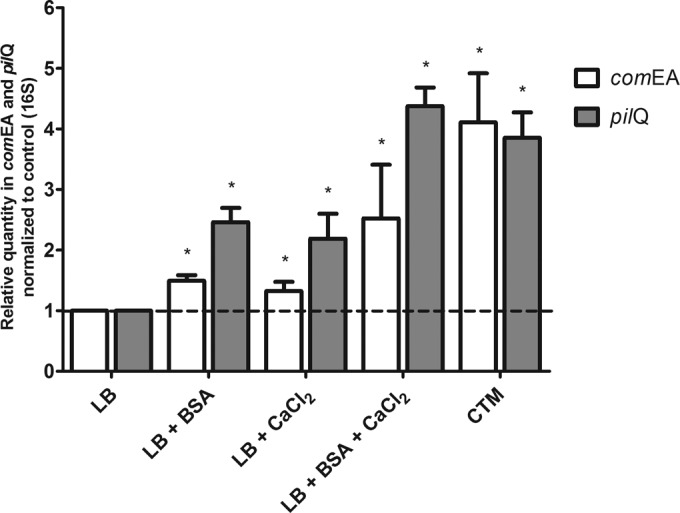 FIG 5