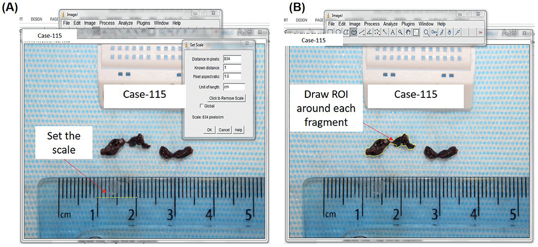 Figure 1: