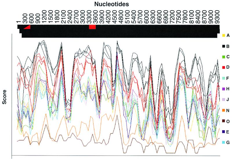 FIG. 1