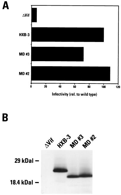 FIG. 10