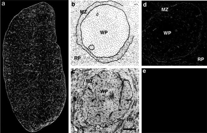 Fig. 2a-e