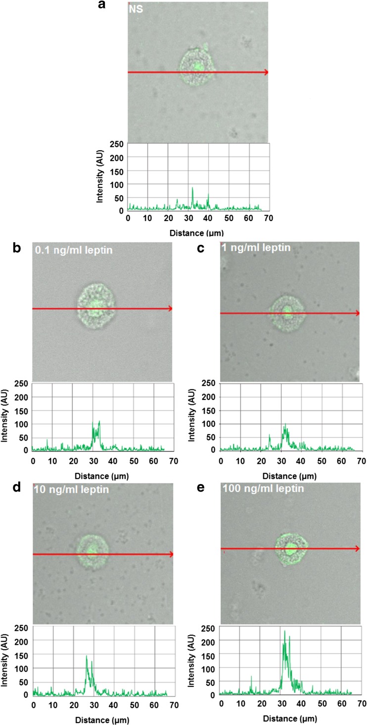 Fig. 6