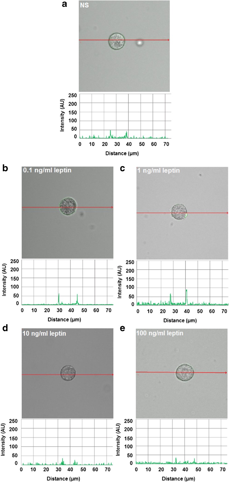 Fig. 4