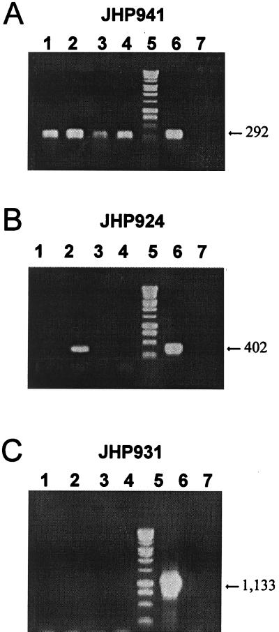 FIG. 5