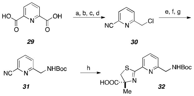 Scheme 4