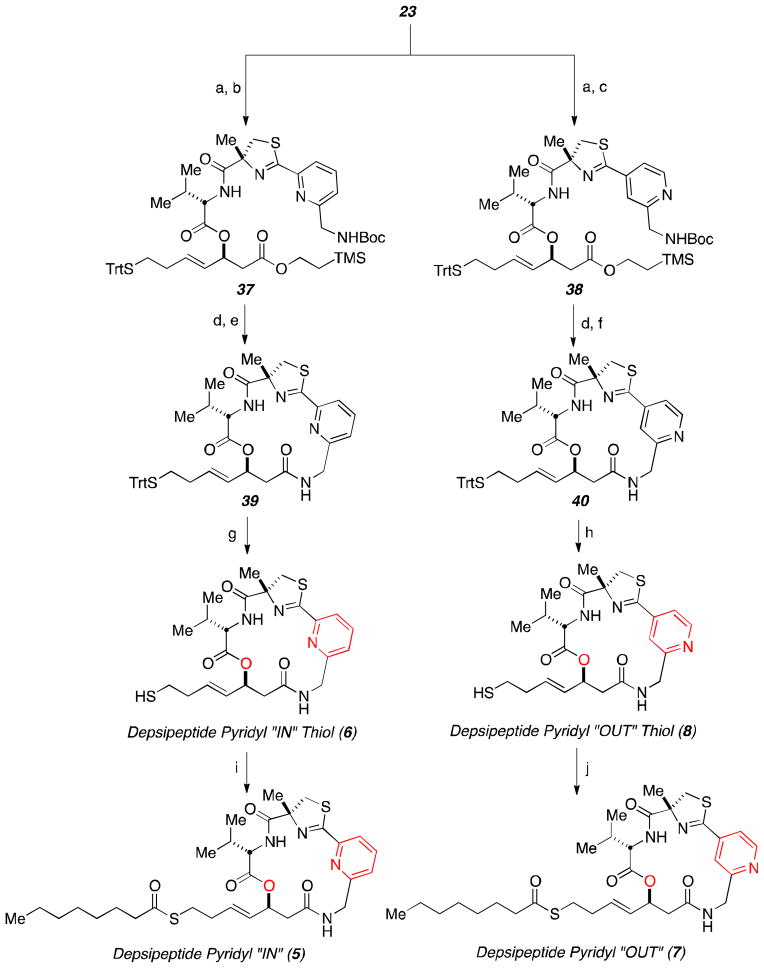 Scheme 6