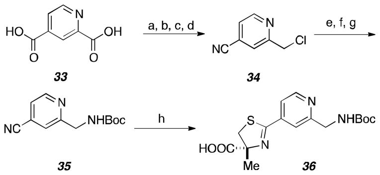 Scheme 5