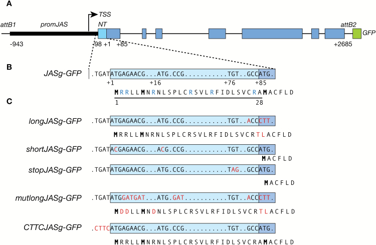 Fig. 1.