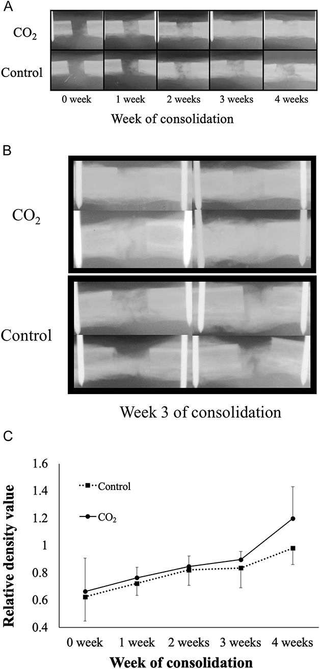 Fig. 2 A-C