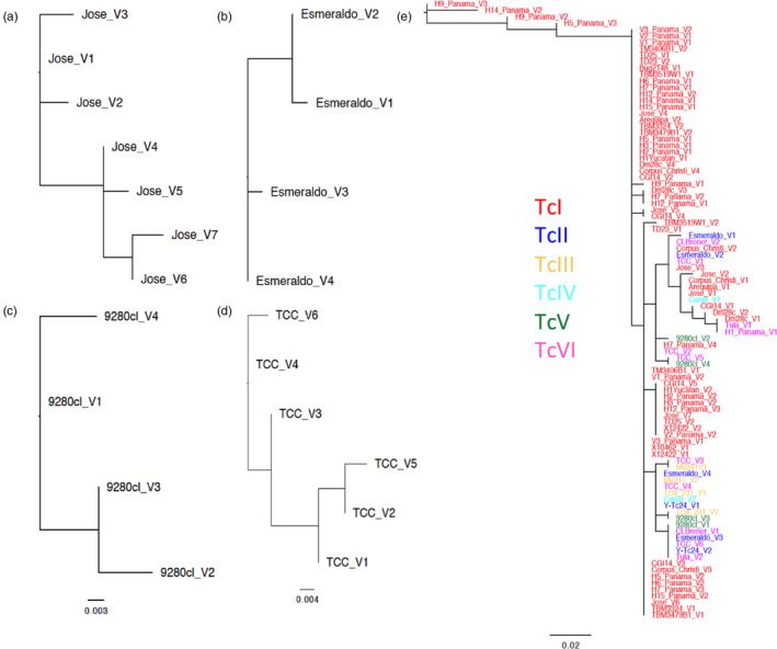 FIGURE 1