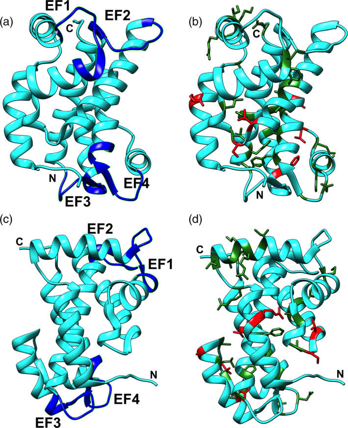 FIGURE 4