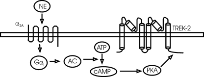 FIGURE 8.