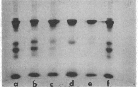 graphic file with name pnas00325-0025-e.jpg