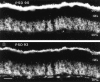 Fig. 9.