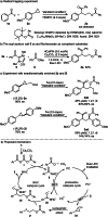 Scheme 5