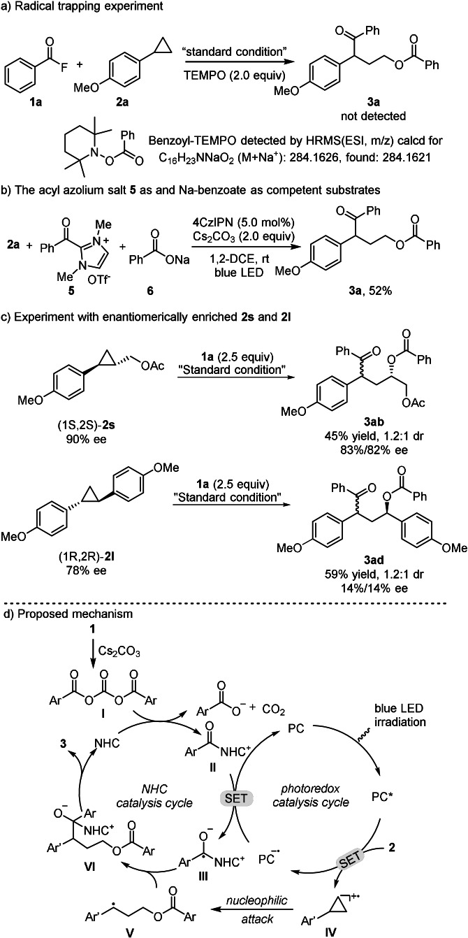 Scheme 5