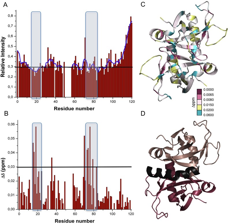 Figure 10.