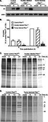 FIG 5
