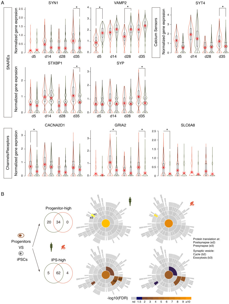 Figure 4—figure supplement 2.