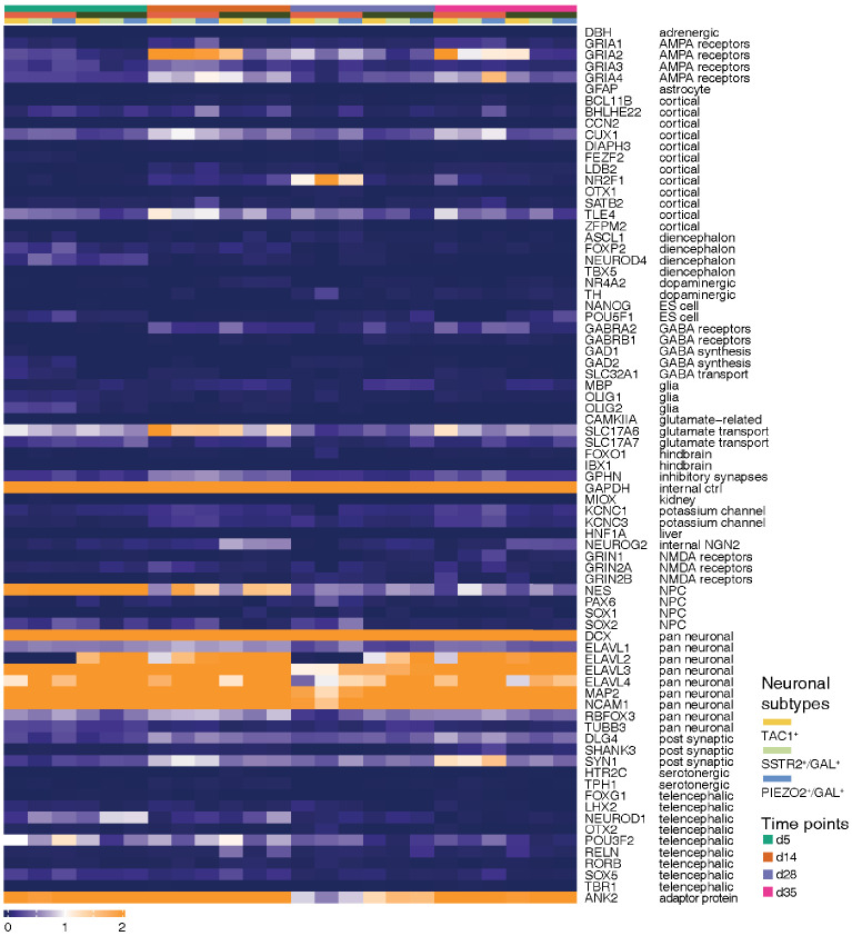 Figure 3—figure supplement 2.