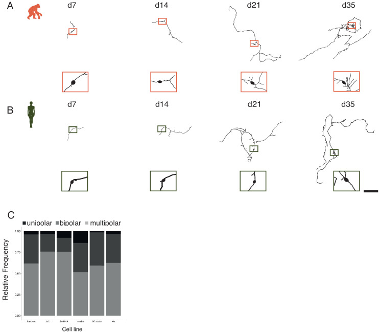 Figure 2—figure supplement 2.