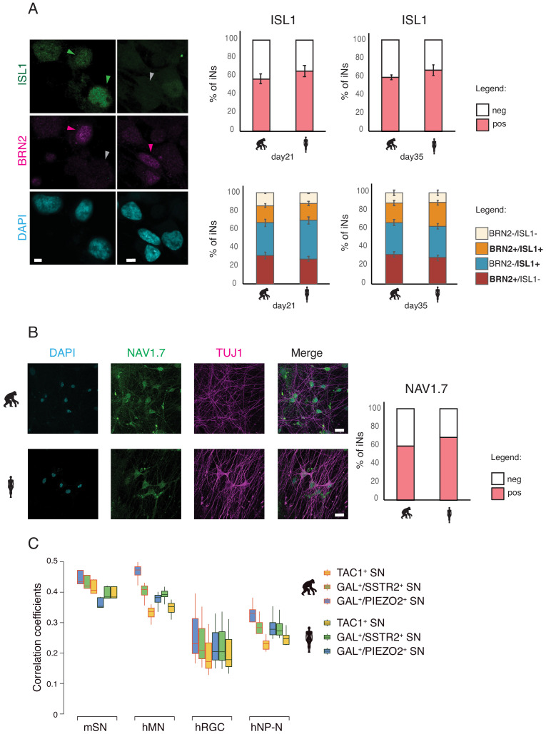 Figure 3—figure supplement 5.