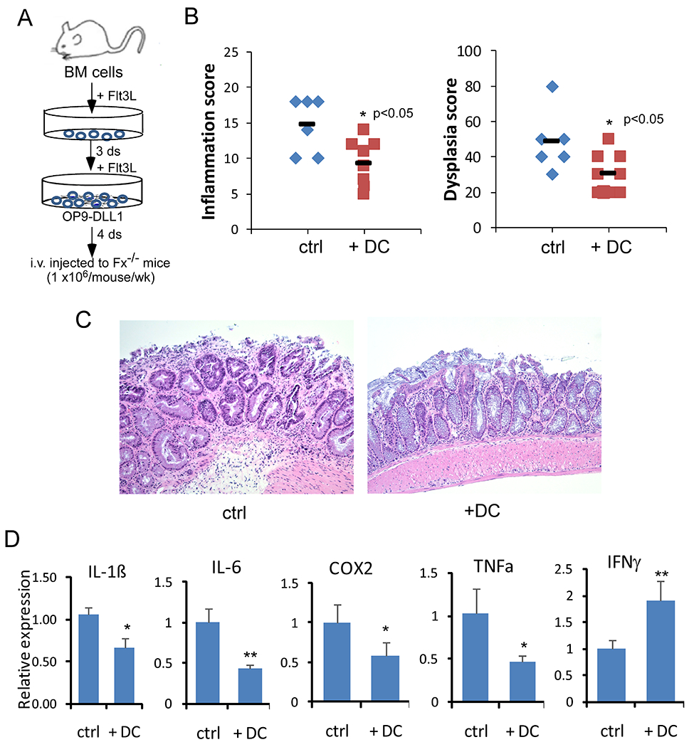 Fig 6.